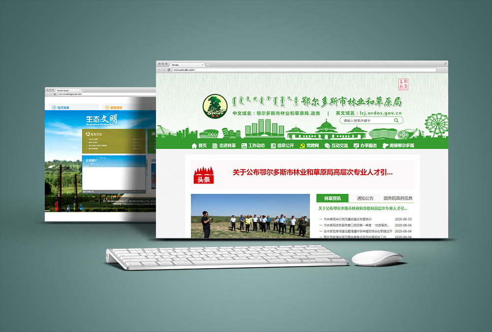 案例_内蒙古软件开发定制_鄂尔多斯九五至尊科技_内蒙古网站专业网站设计_九五至尊