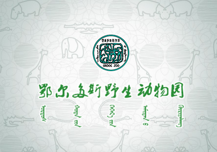 案例_内蒙古软件开发定制_鄂尔多斯九五至尊科技_内蒙古网站专业网站设计_九五至尊